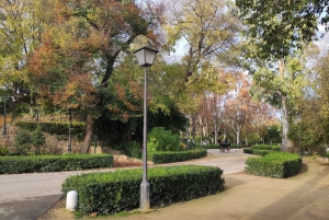 Secrets of Maria Luisa Park and Plaza de Espana
