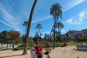 Tour Privado en bici con Visita Guiada Alcázar sin ticket