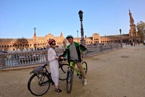 Tour Privado en bici con Visita Guiada Alcázar sin ticket de entrada