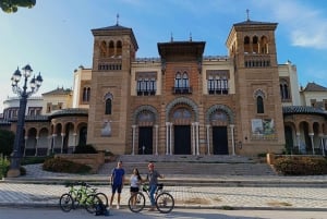 Tour Privado en bici con Visita Guiada Alcázar sin ticket de entrada