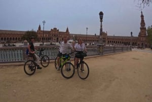 Tour Privado en bici con Visita Guiada Alcázar sin ticket de entrada