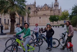 Tour Privado en bici con Visita Guiada Alcázar sin ticket