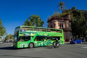 Sevilla: Hop-On Hop-Off & Walking Tours, Cruise & Flamenco