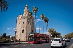 Seville: City Sightseeing Hop-On Hop-Off Bus Tour