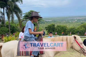 Shared Half City Tour with SPA