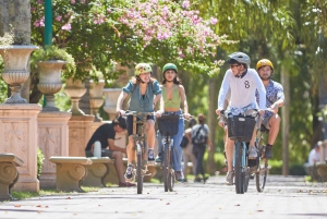Small Group Southern Buenos Aires Immersive Bike Tour