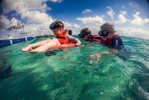 Snorkel with Sea Turtles & Explore Cenotes from Cancun