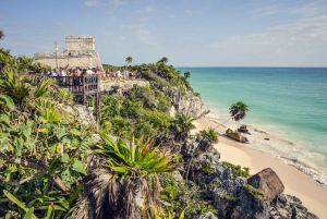 Snorkel with Sea Turtles & Explore Cenotes from Cancun