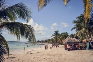 Snorkel with Sea Turtles & Explore Cenotes from Cancun