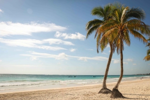Snorkel with Sea Turtles & Explore Cenotes from Cancun