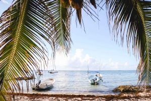 Snorkel with Sea Turtles & Explore Cenotes from Cancun