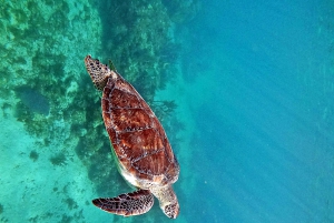 Snorkel with Sea Turtles & Explore Cenotes from Cancun