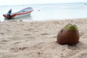 Snorkel with Sea Turtles & Explore Cenotes from Cancun