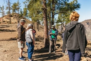 Gran Canaria Sur: Excursión en Jeep Todoterreno Valles y Pueblos