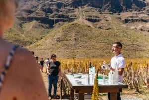 Gran Canaria Sur: Excursión en Jeep Todoterreno Valles y Pueblos