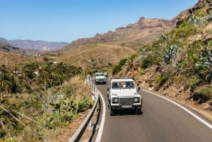 Gran Canaria Sur: Excursión en Jeep Todoterreno Valles y Pueblos