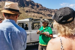 Gran Canaria Sur: Excursión en Jeep Todoterreno Valles y Pueblos