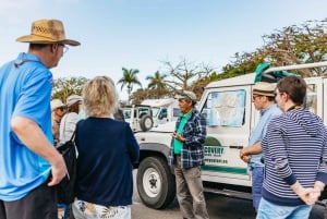 South Gran Canaria: Off-Road Valleys & Villages Jeep Tour