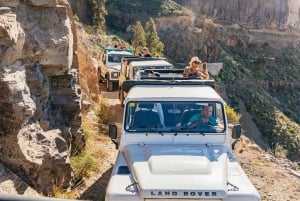 South Gran Canaria: Off-Road Valleys & Villages Jeep Tour