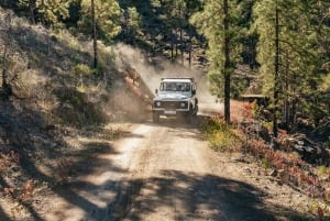 Gran Canaria Sur: Excursión en Jeep Todoterreno Valles y Pueblos