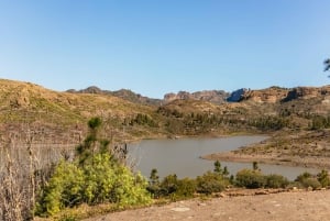 South Gran Canaria: Off-Road Valleys & Villages Jeep Tour