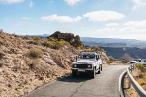 South Gran Canaria: Off-Road Valleys & Villages Jeep Tour