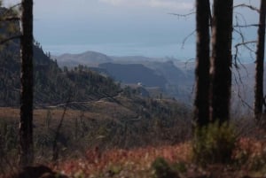 South Gran Canaria: Off-Road Valleys & Villages Jeep Tour