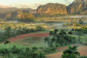 Things to do and best tours in Cuba