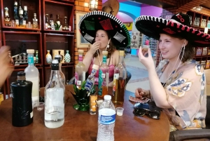 Cancún: Tour de la ciudad con degustación de tacos, postre y muestra de tequila