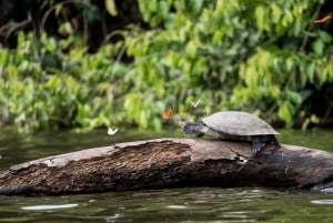 Selva Amazónica Peruana de Tambopata por Tres Días/Dos Noches