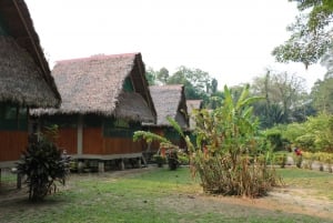 Selva Amazónica Peruana de Tambopata por Tres Días/Dos Noches