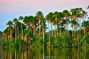 Selva Amazónica Peruana de Tambopata por Tres Días/Dos Noches