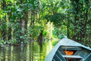 Selva Amazónica Peruana de Tambopata por Tres Días/Dos Noches