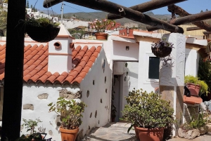 Taste Journey in an Ancient Canarian Village