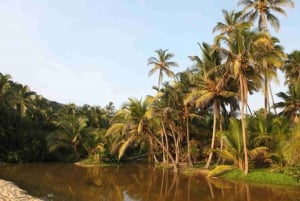 Excursión al Parque Tayrona y Cabo San Juan