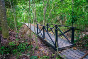 Excursión al Parque Tayrona y Cabo San Juan