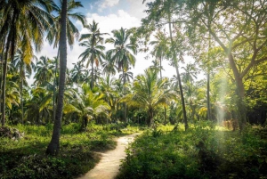 Excursión al Parque Tayrona y Cabo San Juan