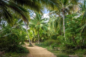 Excursión al Parque Tayrona y Cabo San Juan