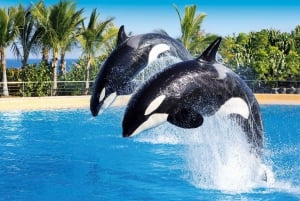 Tenerife: Loro Parque & Siam Park Combined Tickets