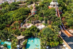 Tenerife: tickets de entrada a Siam Park