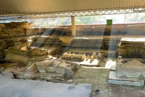 From San Salvador: Mayan Heritage Archaeological Tour