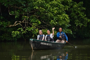 Tortuguero: Excursión de Aventura en Canoa