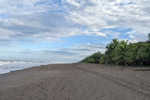 Tortuguero National Park: Best Things to Do in Tortuguero