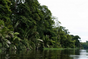 Tortuguero National Park: Best Things to Do in Tortuguero