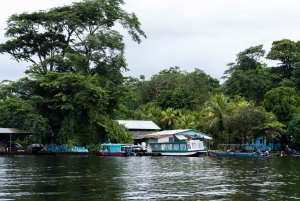 Tortuguero National Park: Best Things to Do in Tortuguero