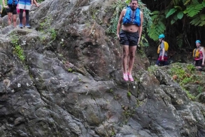 From San Juan: El Yunque Rainforest Waterslide Transport