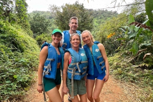 From San Juan: El Yunque Rainforest Waterslide Transport