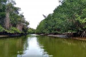 Tumbes: Islands and mangroves of Puerto Pizarro