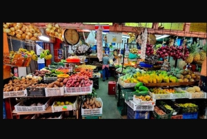 Unforgettable Costa Rica Historical Tour in San Jose