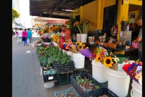 Unforgettable Costa Rica Historical Tour in San Jose